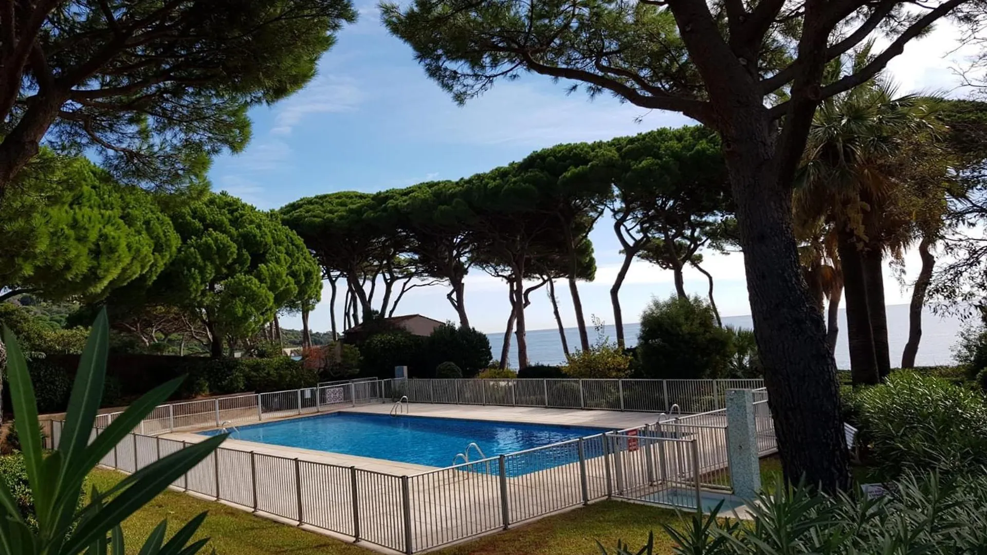 Superbe T2 Climatise Avec Piscine A Sainte-Maxime - Fr-1-780-59 Apartment France